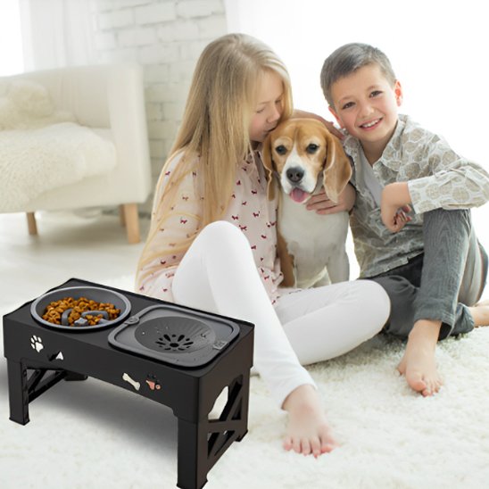 Gamelle chien