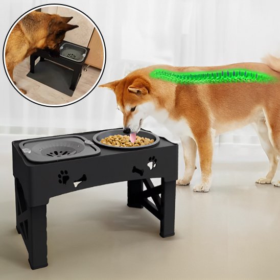 Gamelle chien