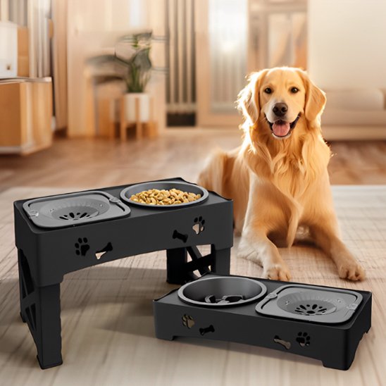Gamelle chien
