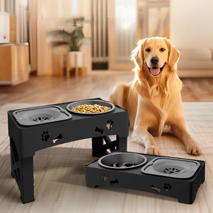 Gamelle chien