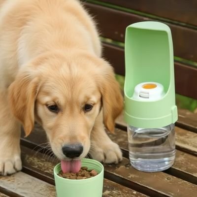 Gourde pour Chien