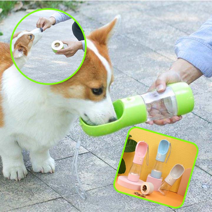 gourdechienFeeder