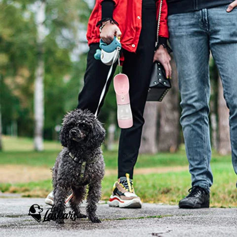 gourdepourchienpromenade