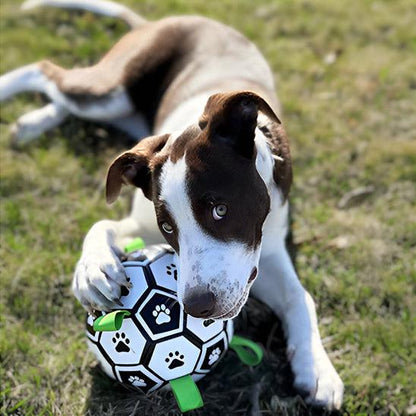 Ballon Chien - l'école du chien
