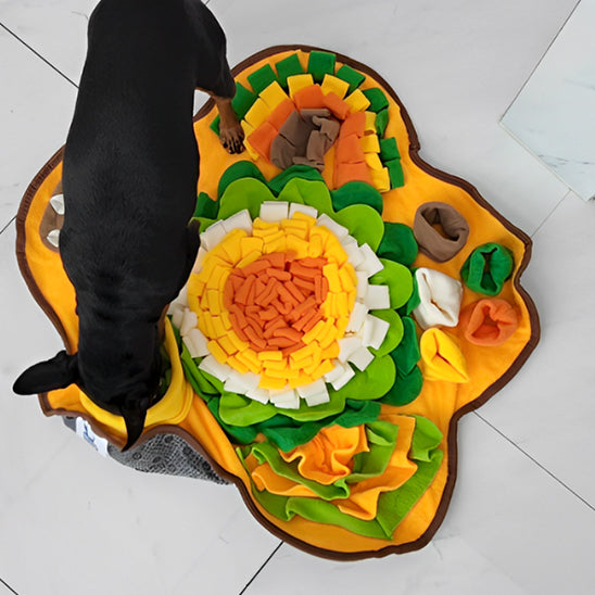 Tapis de Fouille Chien