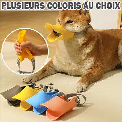 Muselière pour Chien - l'école du chien