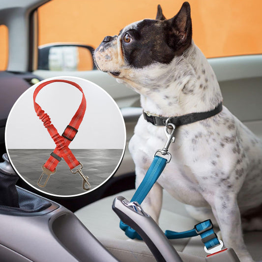 DriveSafe™ | Ceinture Voiture Chien