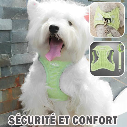 Harnais Chien - l'école du chien