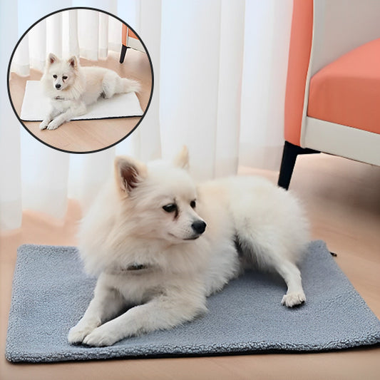 Tapis pour Chien