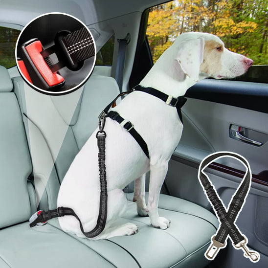 DriveSafe™ | Ceinture Voiture Chien