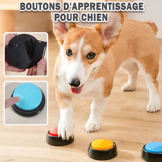 Jouet pour Chien