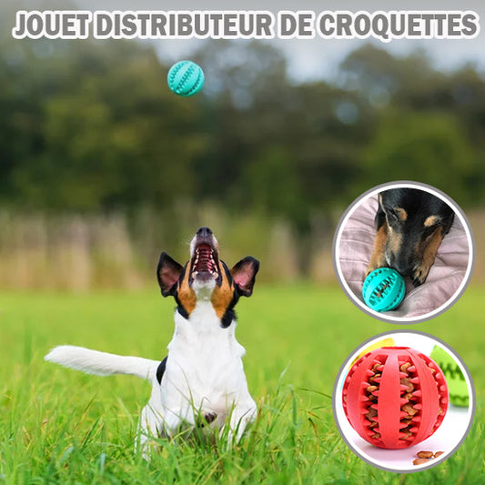 DogTeethCleaning™ | Balle pour Chien