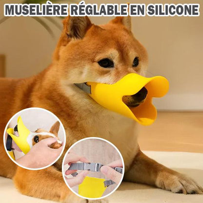 Muselière pour Chien - l'école du chien