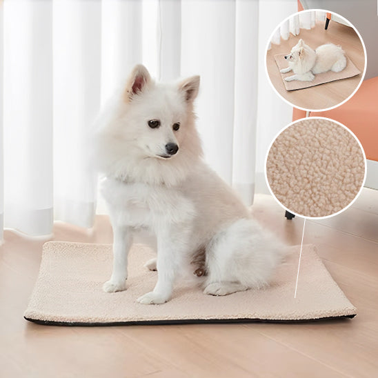 Tapis pour Chien