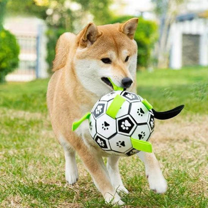 Ballon Chien - l'école du chien