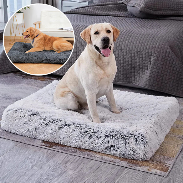 Tapis pour Chien