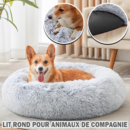 Coussin pour Chien | ConfortoPaw™