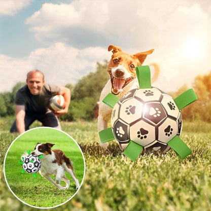 Ballon Chien - l'école du chien
