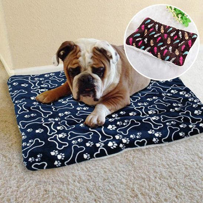Tapis pour Chien - l'école du chien