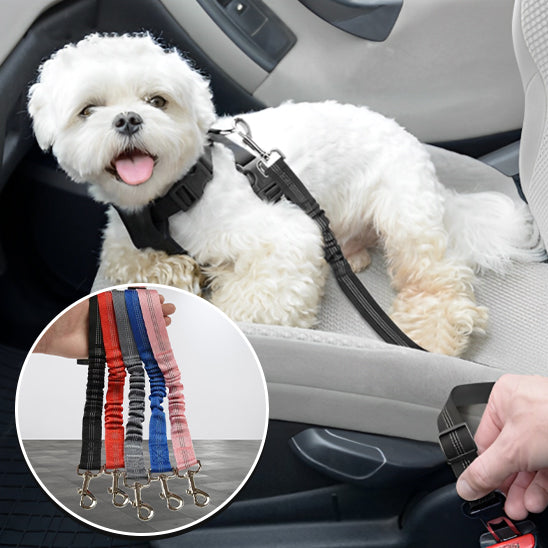 DriveSafe™ | Ceinture Voiture Chien