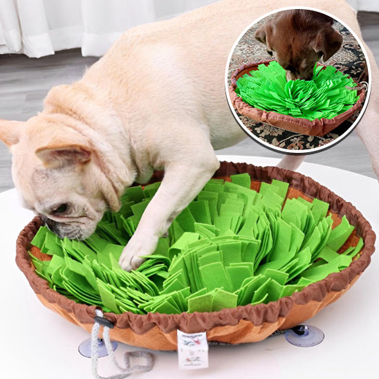 DogSnuffle™ | Tapis de Fouille Chien