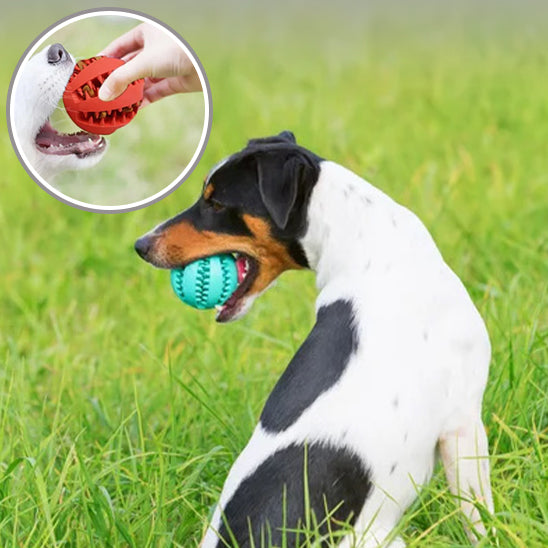 DogTeethCleaning™ | Balle pour Chien