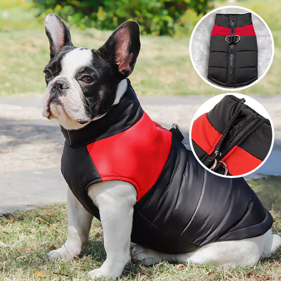 Imperméable Chien