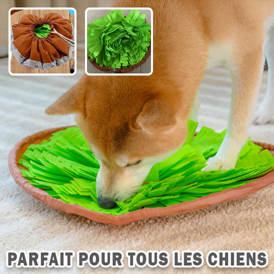 DogSnuffle™ | Tapis de Fouille Chien