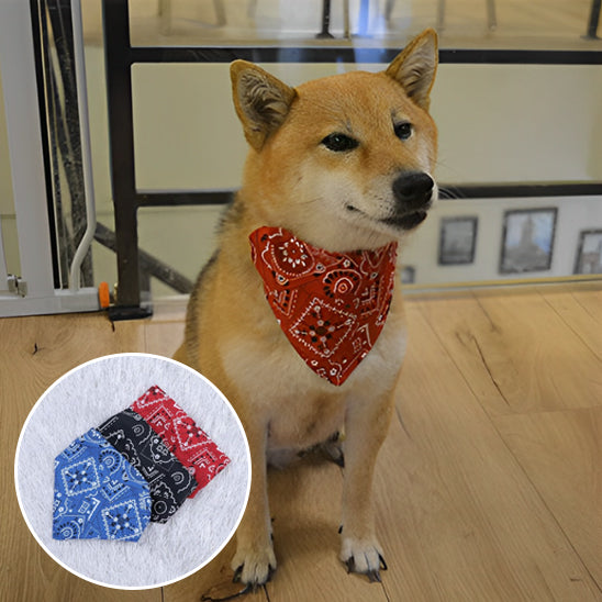 Bandana pour Chien | BandanaPaws™