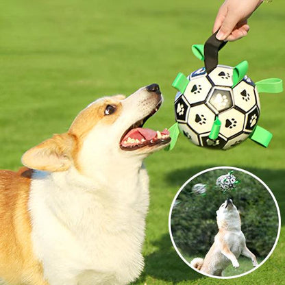 Ballon Chien - l'école du chien