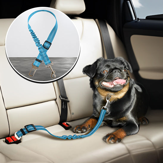 DriveSafe™ | Ceinture Voiture Chien