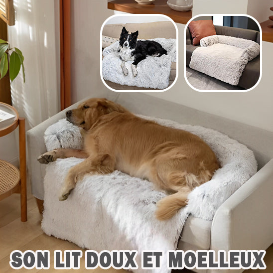 Canapé pour Chien | ConfortoLounger™