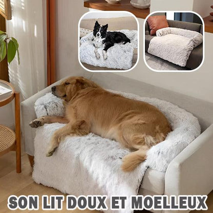 Canapé pour Chien | ConfortoLounger™ - l'école du chien