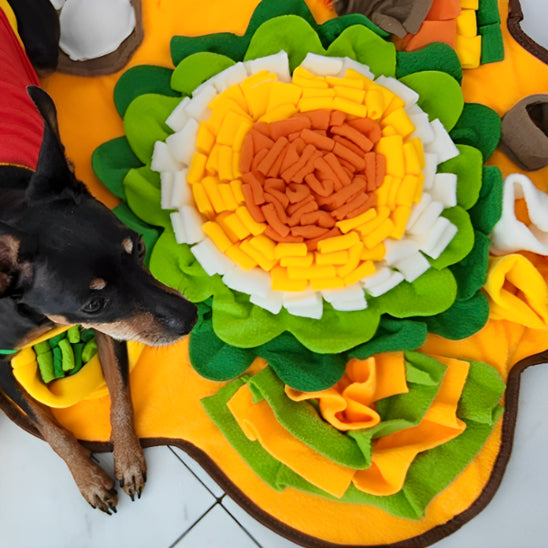 Tapis de Fouille Chien