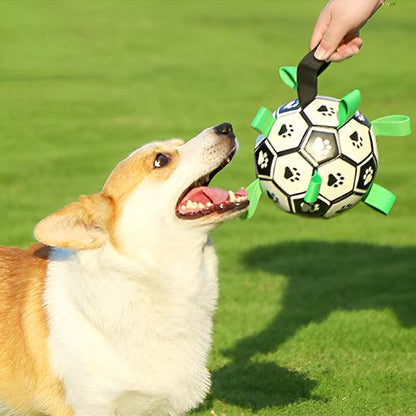 Ballon Chien - l'école du chien