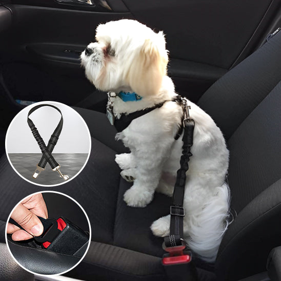 DriveSafe™ | Ceinture Voiture Chien