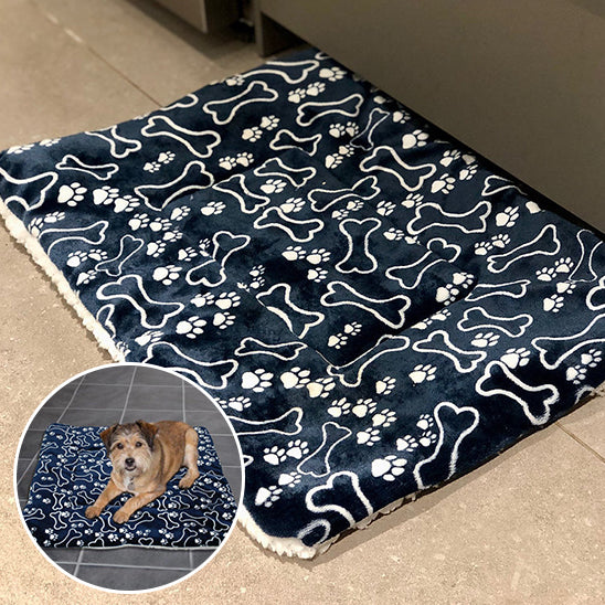 Tapis pour Chien