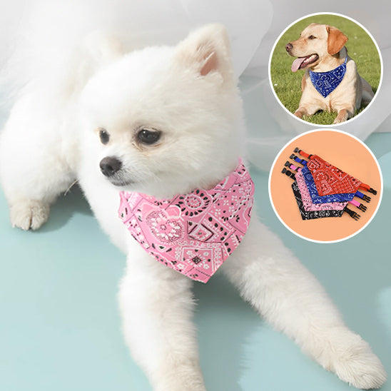 Bandana pour Chien | BandanaPaws™