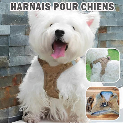 Harnais Chien - l'école du chien