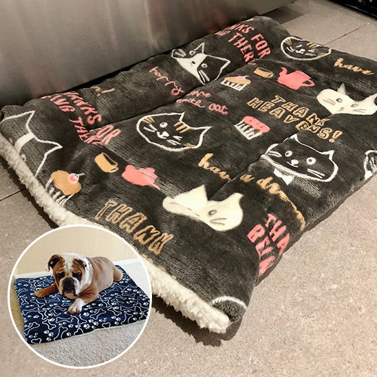 Tapis pour Chien