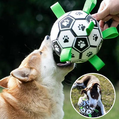 Ballon Chien - l'école du chien