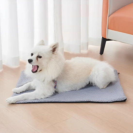 Tapis pour Chien