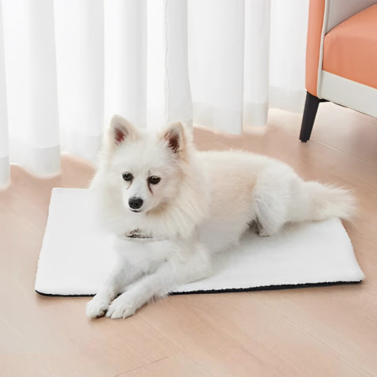 Tapis pour Chien