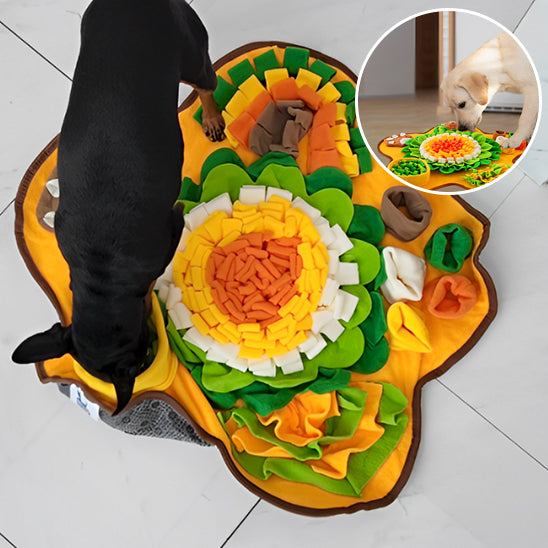 Tapis de Fouille Chien