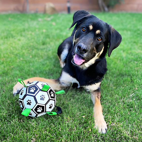 Ballon Chien