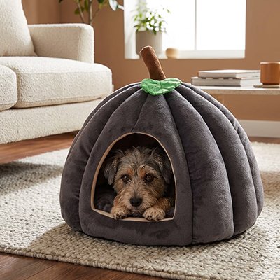 Panier pour Chien 