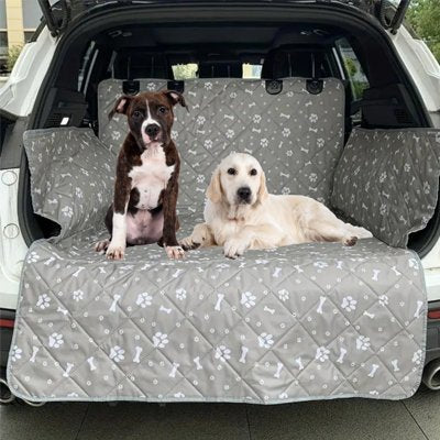 Protection chien voiture