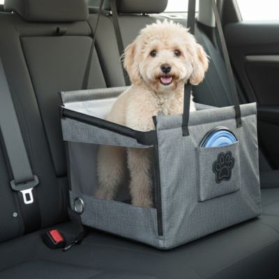 Siege auto pour chien