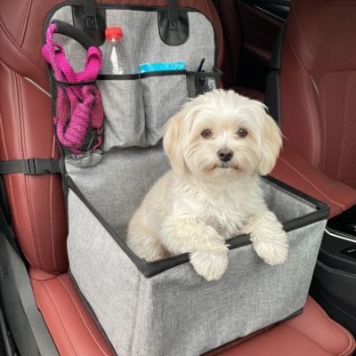 Siege auto pour chien