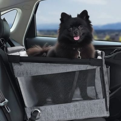 Siege auto pour chien
